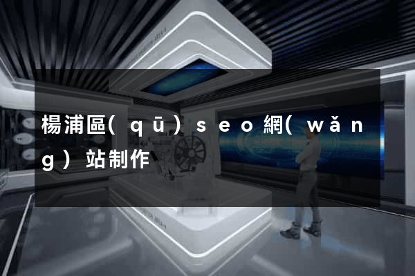 楊浦區(qū)seo網(wǎng)站制作