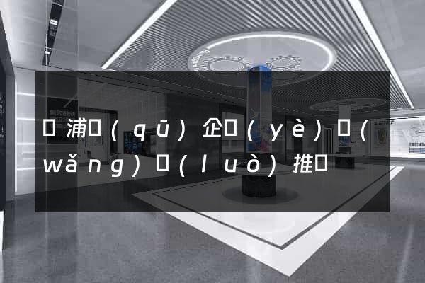 楊浦區(qū)企業(yè)網(wǎng)絡(luò)推廣