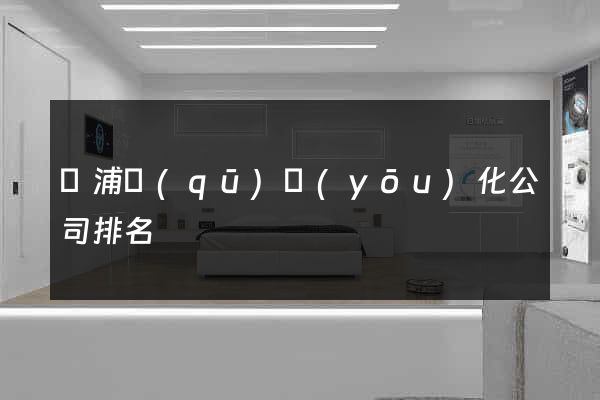 楊浦區(qū)優(yōu)化公司排名