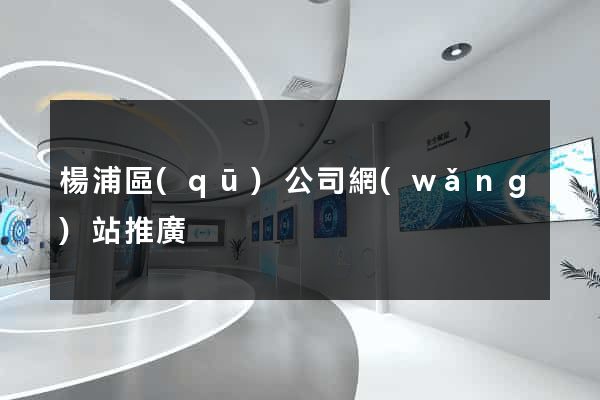 楊浦區(qū)公司網(wǎng)站推廣