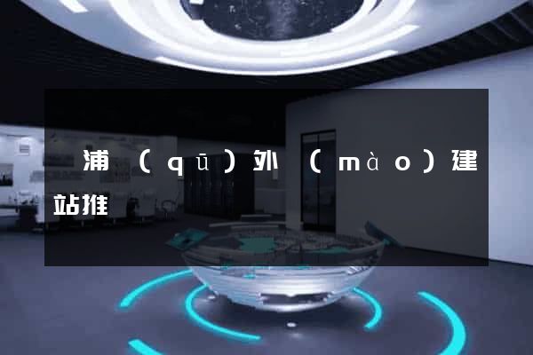 楊浦區(qū)外貿(mào)建站推廣