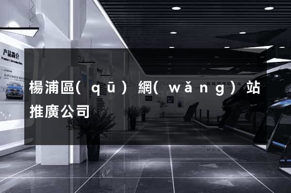 楊浦區(qū)網(wǎng)站推廣公司