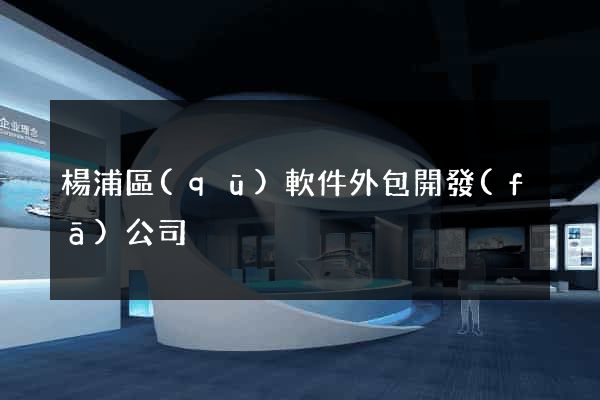 楊浦區(qū)軟件外包開發(fā)公司