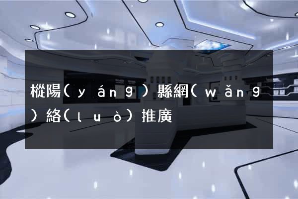 樅陽(yáng)縣網(wǎng)絡(luò)推廣