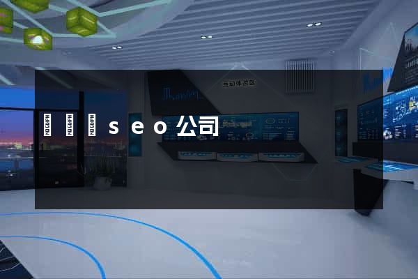 樅陽縣seo公司