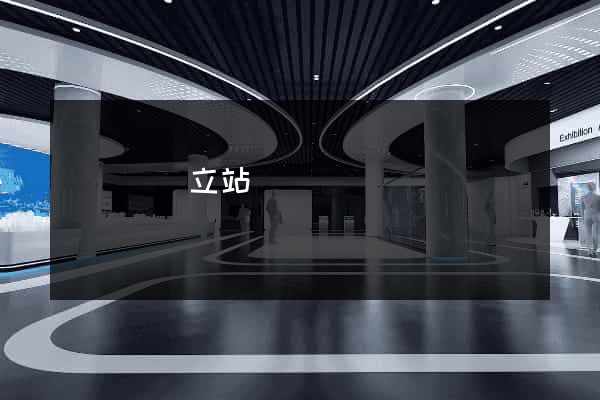 樅陽縣獨立站運營