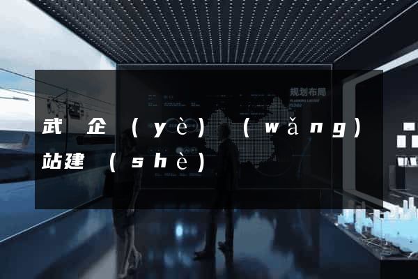武漢企業(yè)網(wǎng)站建設(shè)