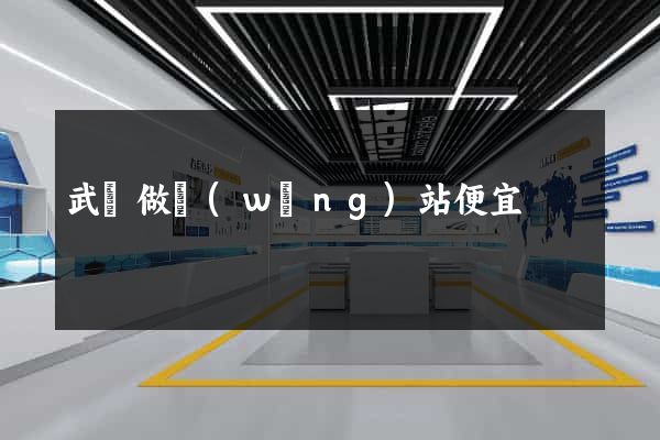 武漢做網(wǎng)站便宜