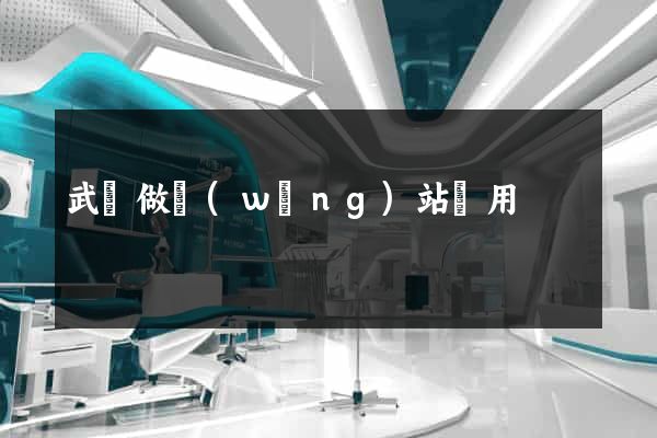 武漢做網(wǎng)站費用