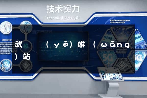 武漢專業(yè)做網(wǎng)站