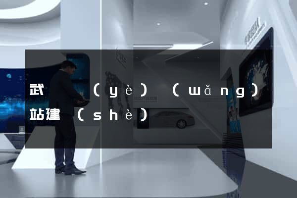 武漢專業(yè)網(wǎng)站建設(shè)