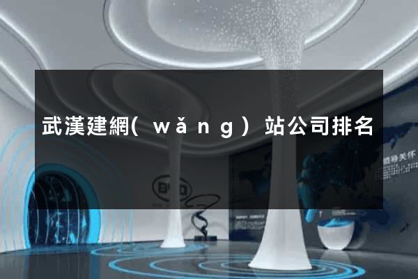 武漢建網(wǎng)站公司排名