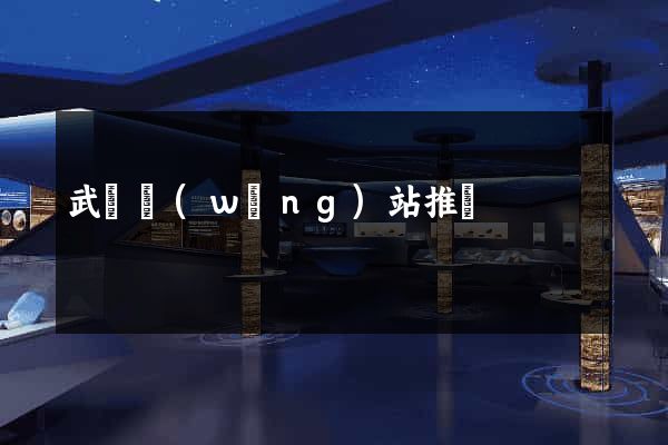 武漢網(wǎng)站推廣