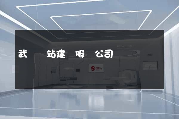 武漢網站建設服務公司