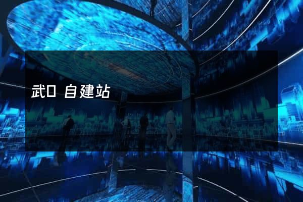 武漢自建站