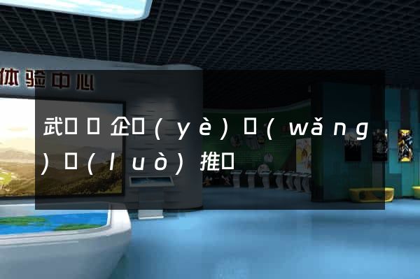 武義縣企業(yè)網(wǎng)絡(luò)推廣