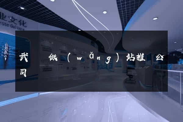 武義縣做網(wǎng)站推廣公司