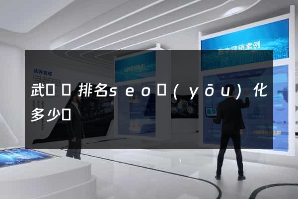 武義縣排名seo優(yōu)化多少錢