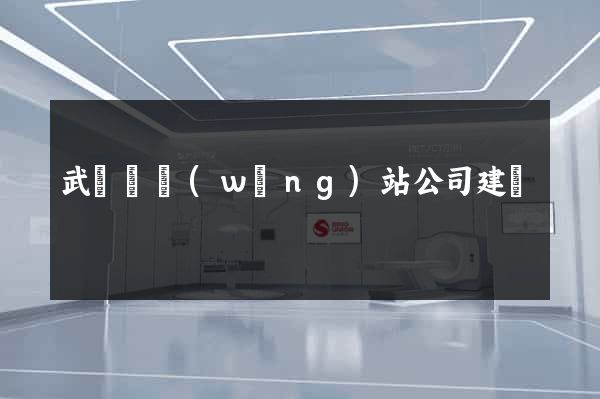 武義縣網(wǎng)站公司建設