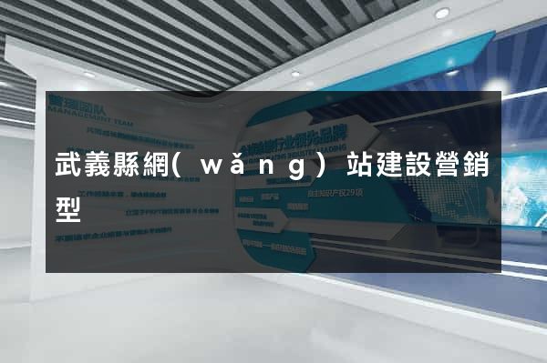 武義縣網(wǎng)站建設營銷型