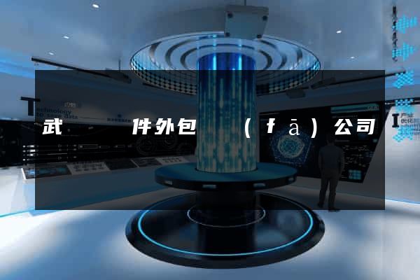 武義縣軟件外包開發(fā)公司