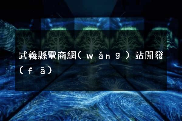 武義縣電商網(wǎng)站開發(fā)