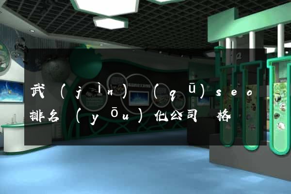 武進(jìn)區(qū)seo排名優(yōu)化公司價格