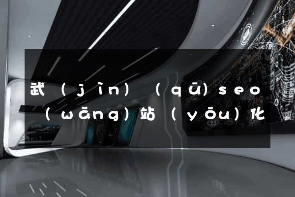 武進(jìn)區(qū)seo網(wǎng)站優(yōu)化