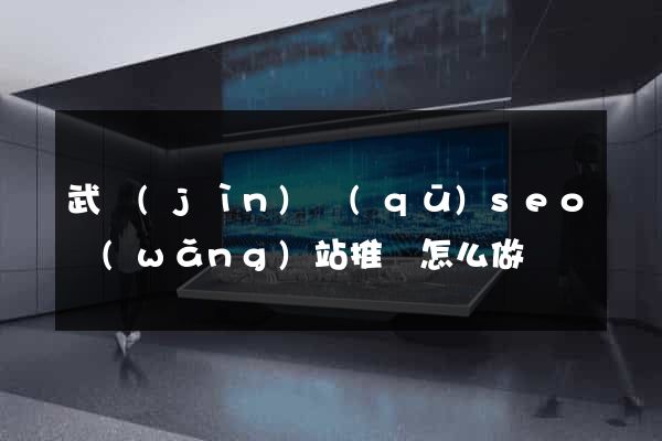 武進(jìn)區(qū)seo網(wǎng)站推廣怎么做