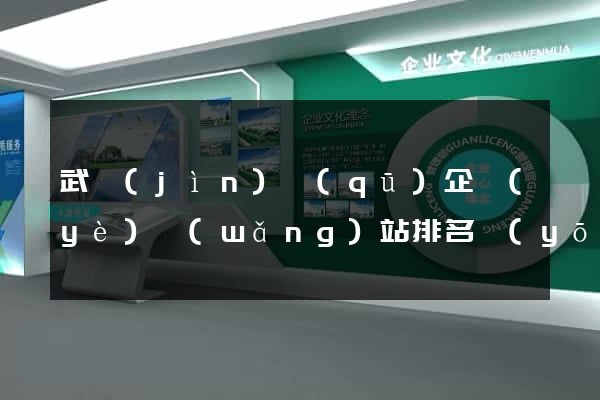 武進(jìn)區(qū)企業(yè)網(wǎng)站排名優(yōu)化