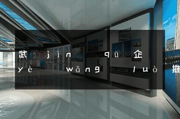 武進(jìn)區(qū)企業(yè)網(wǎng)絡(luò)推廣