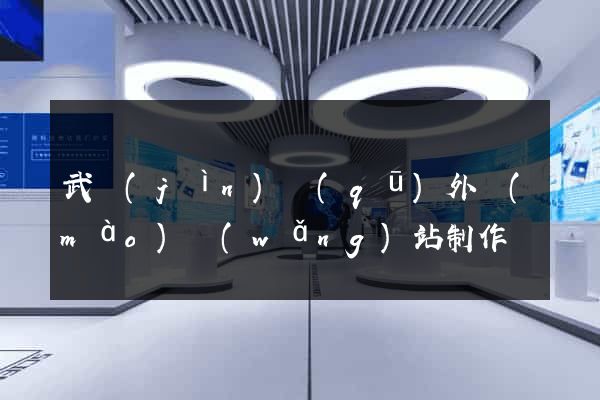 武進(jìn)區(qū)外貿(mào)網(wǎng)站制作