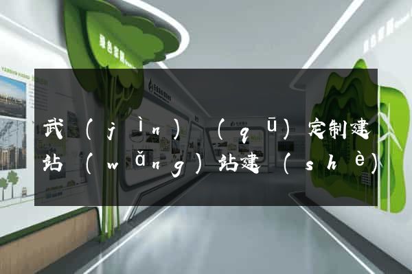 武進(jìn)區(qū)定制建站網(wǎng)站建設(shè)