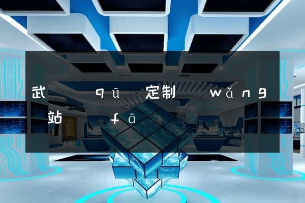 武進區(qū)定制網(wǎng)站開發(fā)