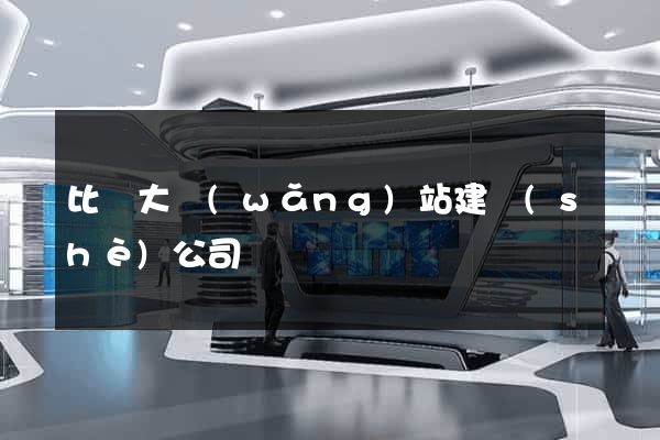 比較大網(wǎng)站建設(shè)公司