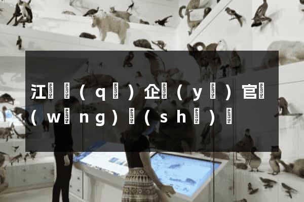 江寧區(qū)企業(yè)官網(wǎng)設(shè)計