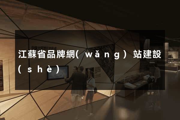江蘇省品牌網(wǎng)站建設(shè)