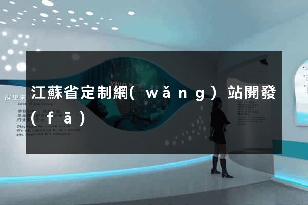 江蘇省定制網(wǎng)站開發(fā)