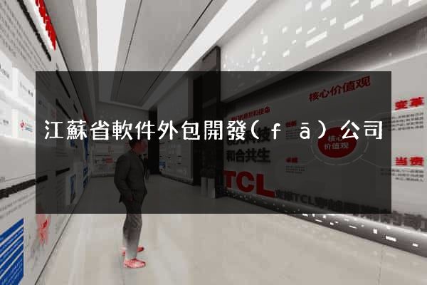 江蘇省軟件外包開發(fā)公司