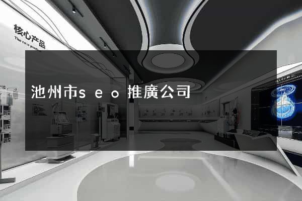 池州市seo推廣公司