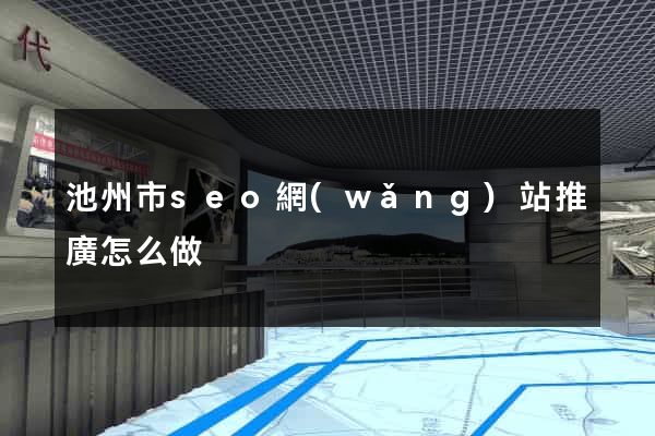 池州市seo網(wǎng)站推廣怎么做