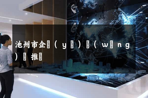 池州市企業(yè)網(wǎng)絡推廣
