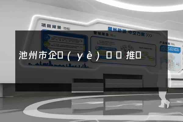 池州市企業(yè)網絡推廣