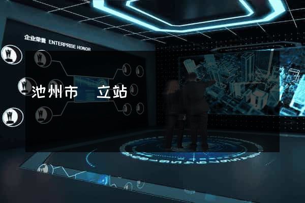 池州市獨立站運營