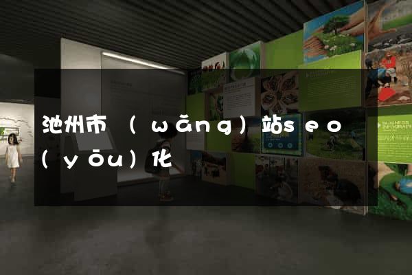 池州市網(wǎng)站seo優(yōu)化
