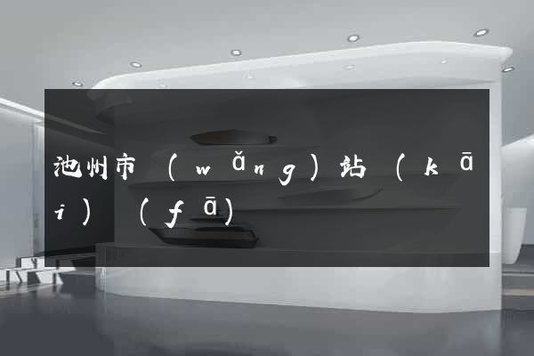 池州市網(wǎng)站開(kāi)發(fā)