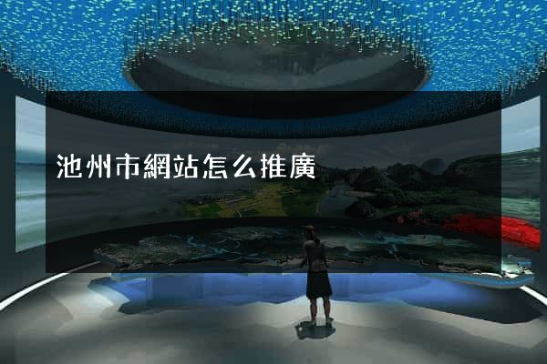 池州市網站怎么推廣