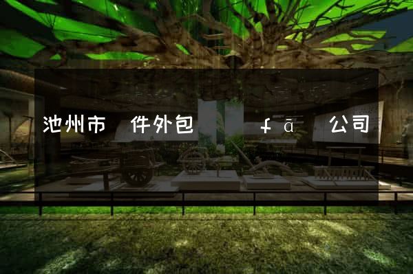 池州市軟件外包開發(fā)公司