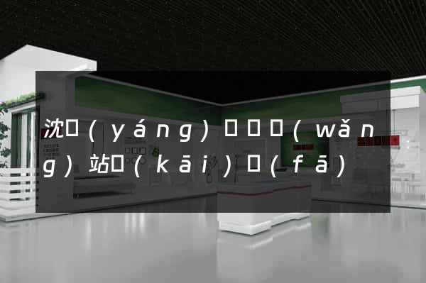 沈陽(yáng)門戶網(wǎng)站開(kāi)發(fā)