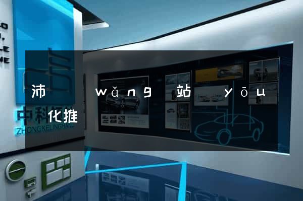 沛縣網(wǎng)站優(yōu)化推廣